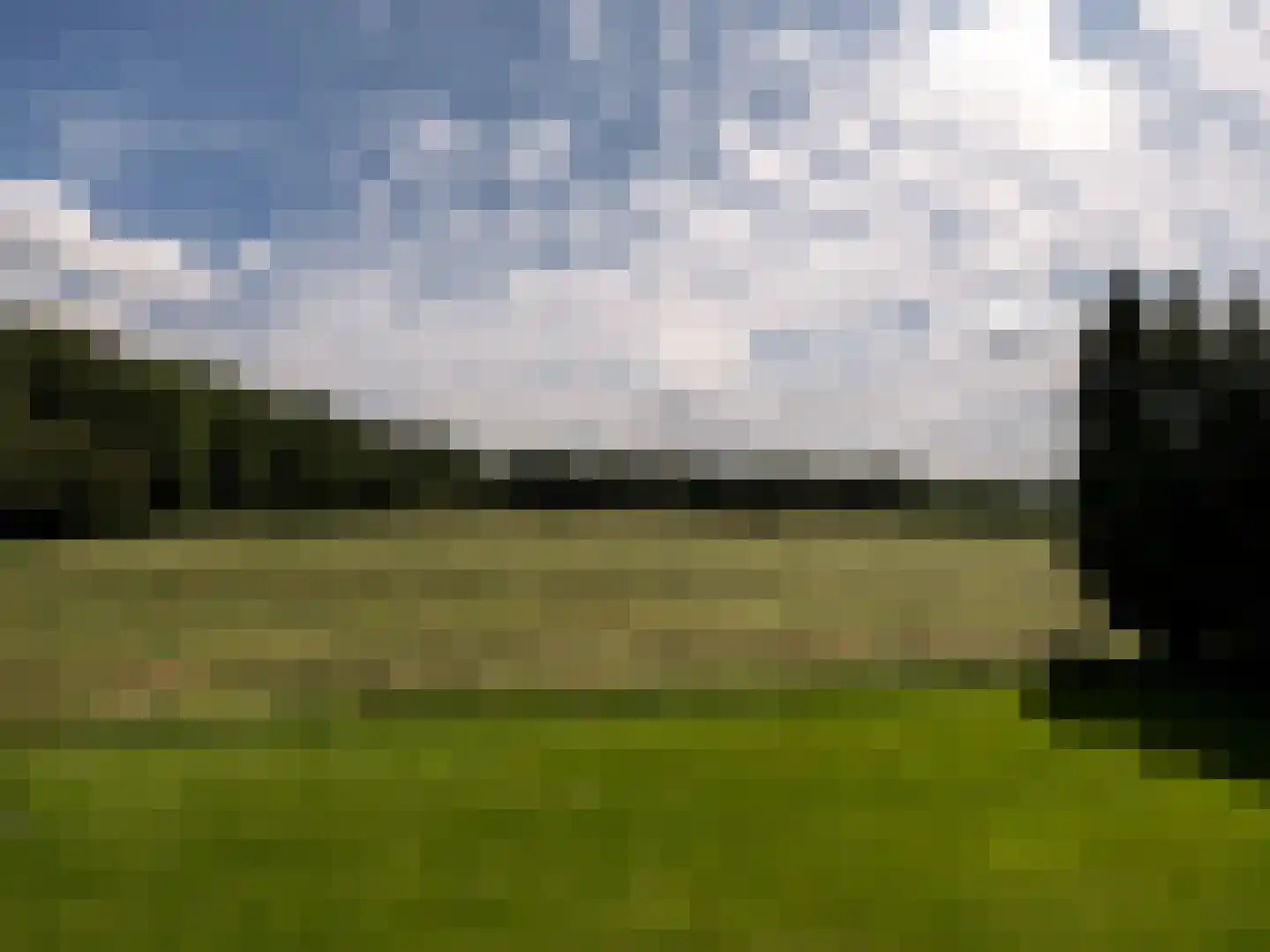 Noordereinde 6 a 's-Graveland thumbnail 55