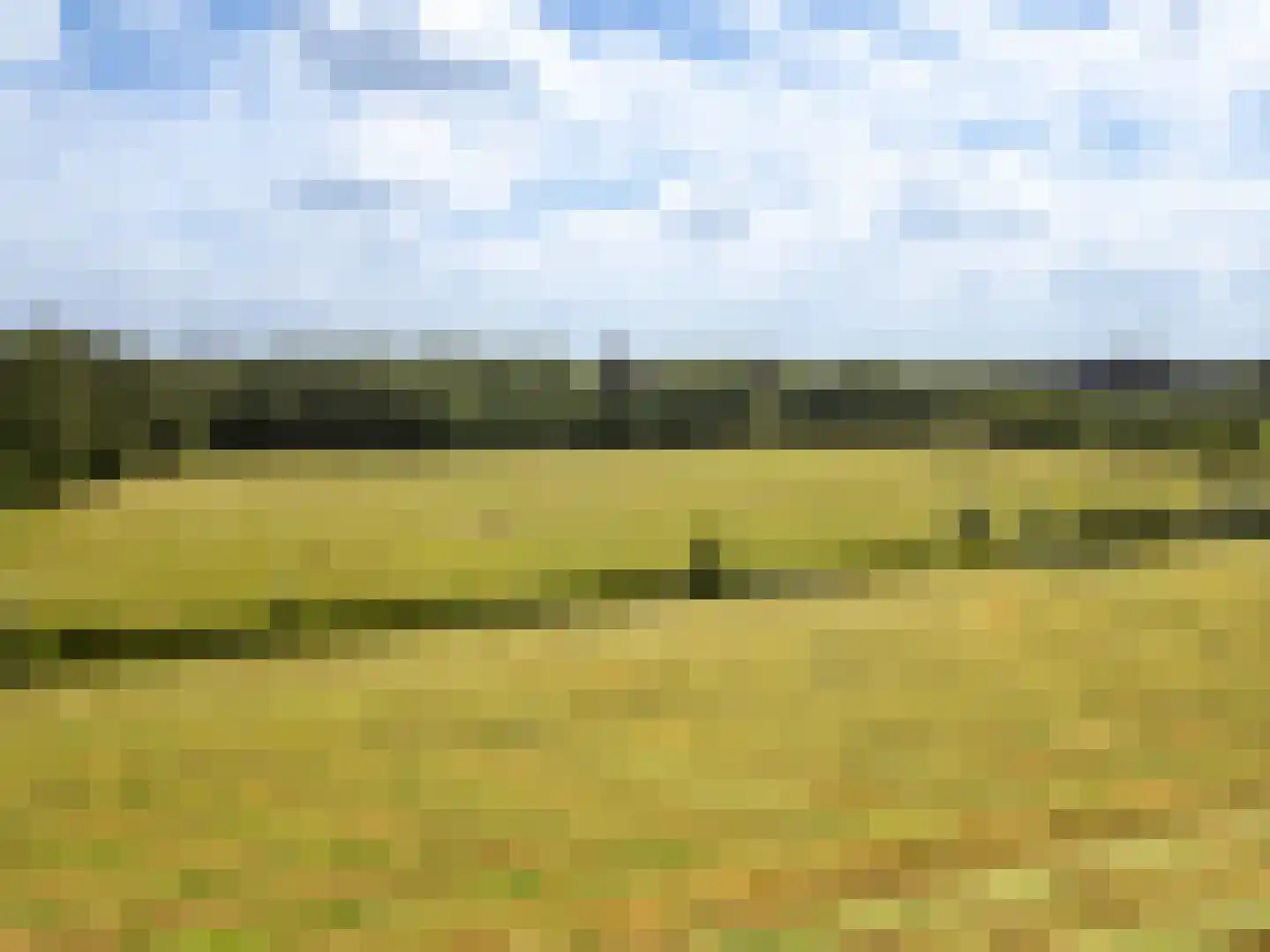 Noordereinde 6 a 's-Graveland thumbnail 56
