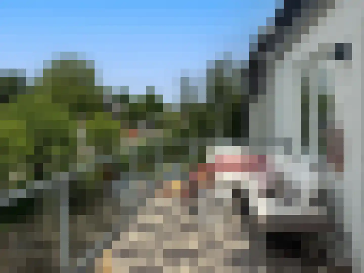 Noordereinde 63 's-Graveland thumbnail 31
