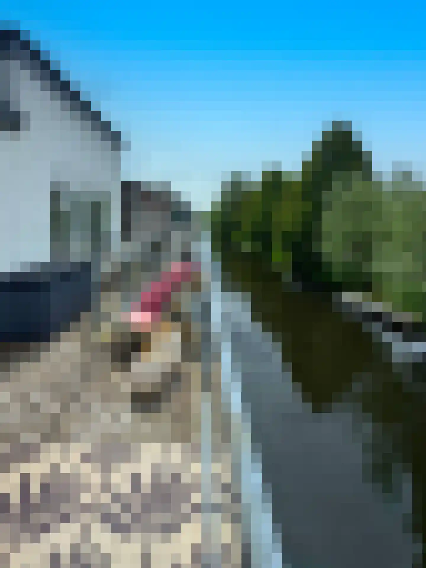 Noordereinde 63 's-Graveland thumbnail 33