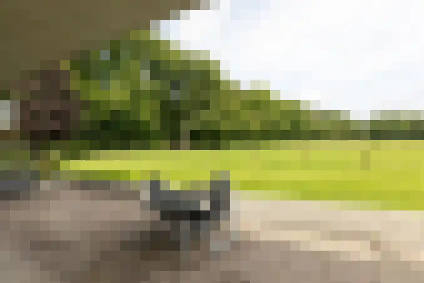 Noordereinde 8 a 's-Graveland thumbnail 21