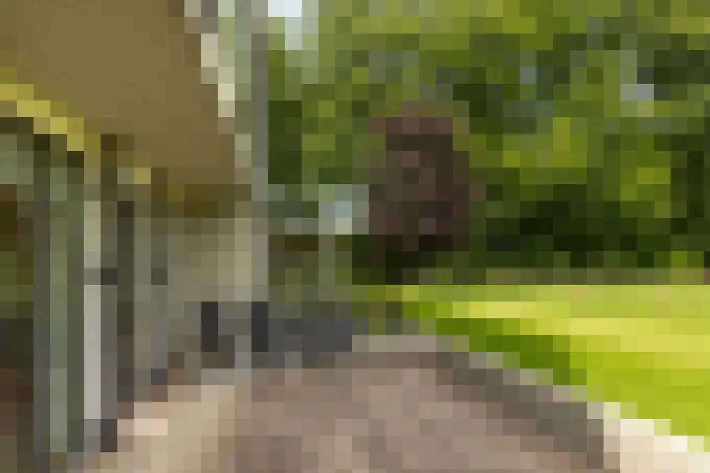 Noordereinde 8 a 's-Graveland thumbnail 22