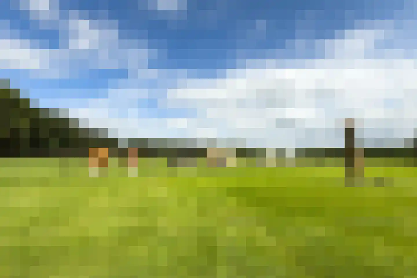 Noordereinde 8 a 's-Graveland thumbnail 4