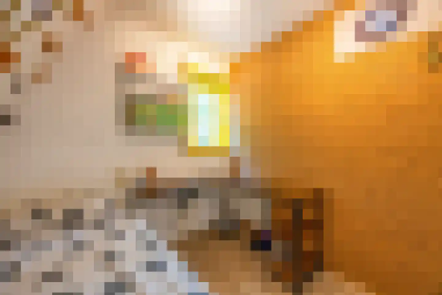Noordereinde 99 's-Graveland thumbnail 31