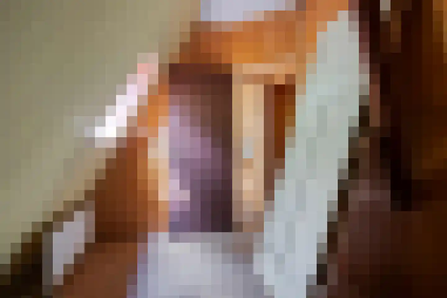 Noorderend 22 Suwâld thumbnail 39