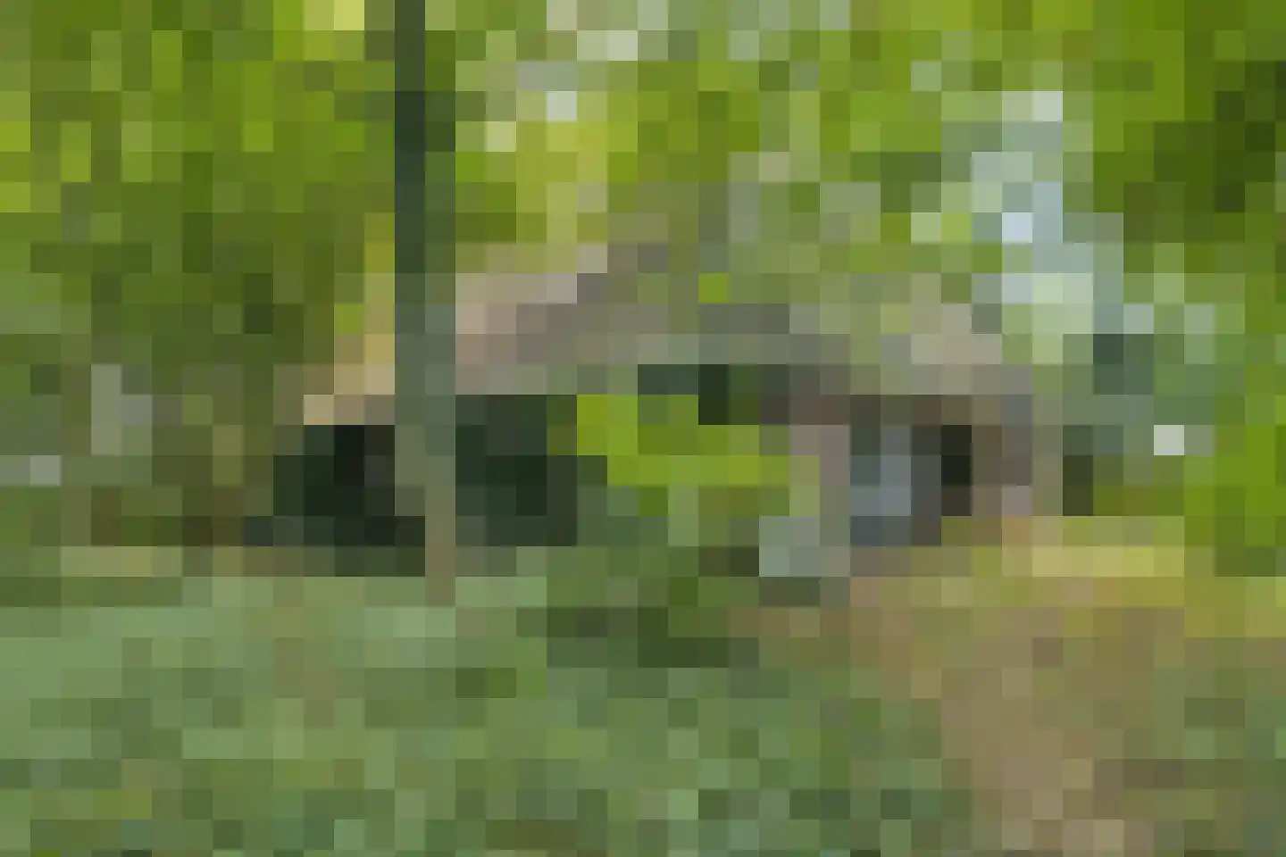 Noorderend 22 Suwâld thumbnail 4