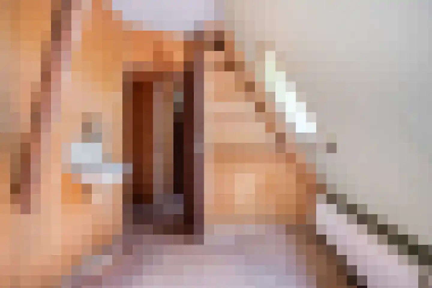 Noorderend 22 Suwâld thumbnail 41