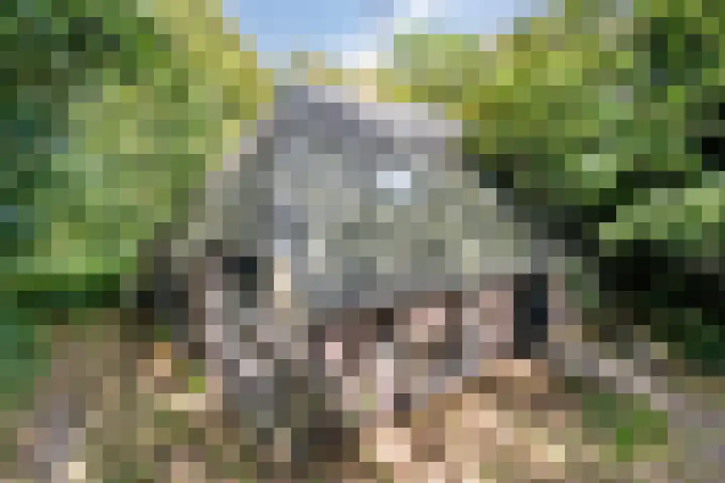 Noorderend 22 Suwâld thumbnail 43