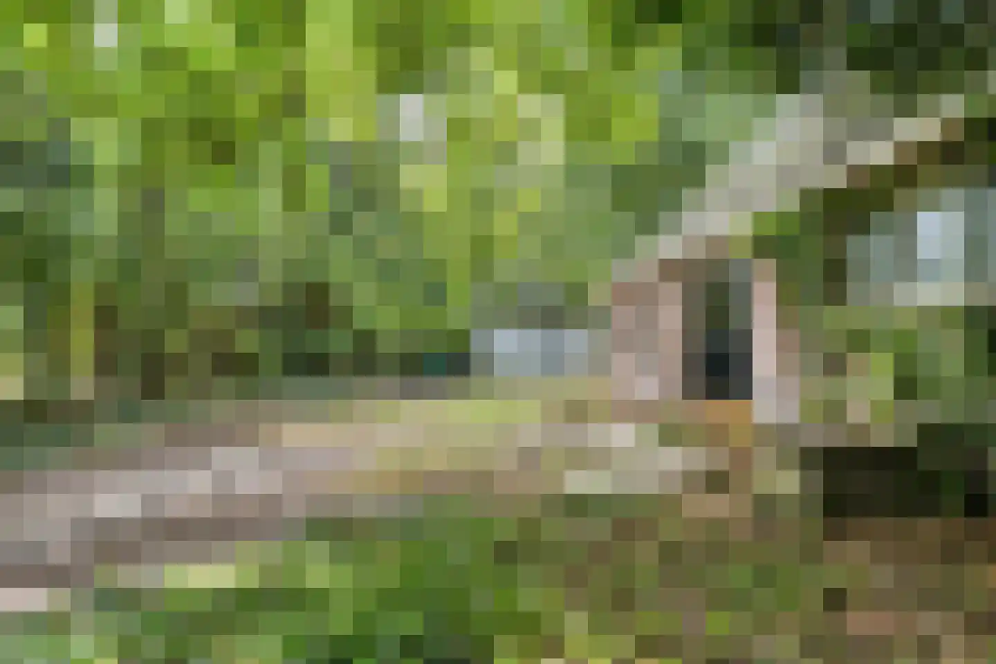 Noorderend 22 Suwâld thumbnail 45
