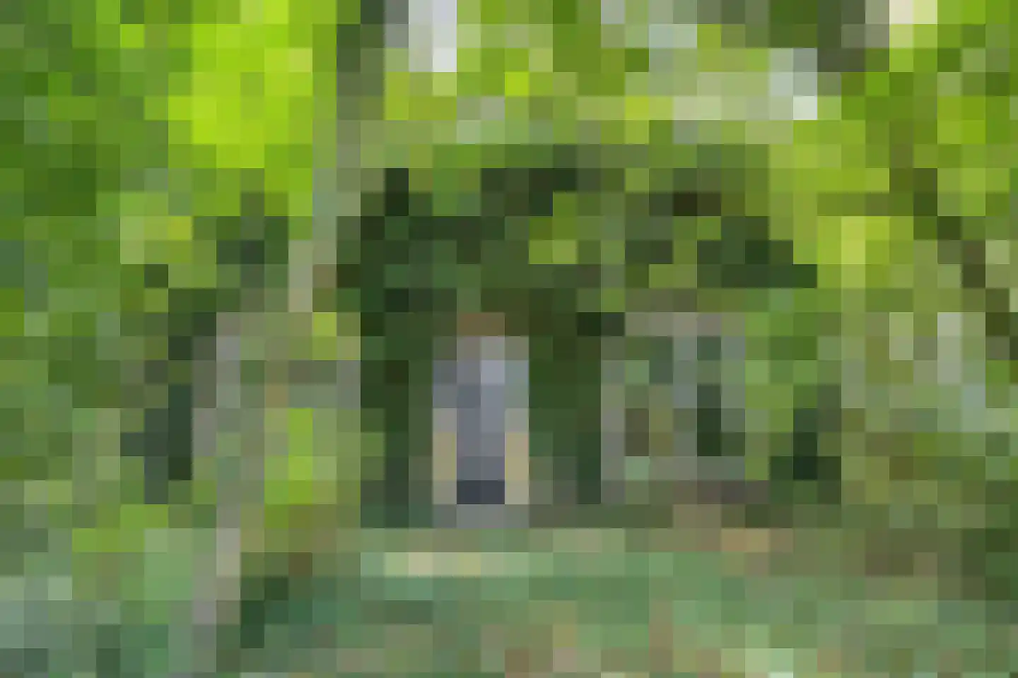 Noorderend 22 Suwâld thumbnail 46