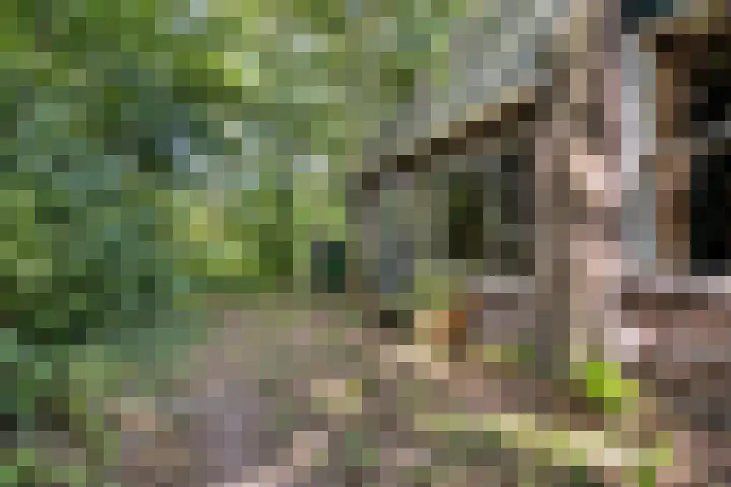Noorderend 22 Suwâld thumbnail 48