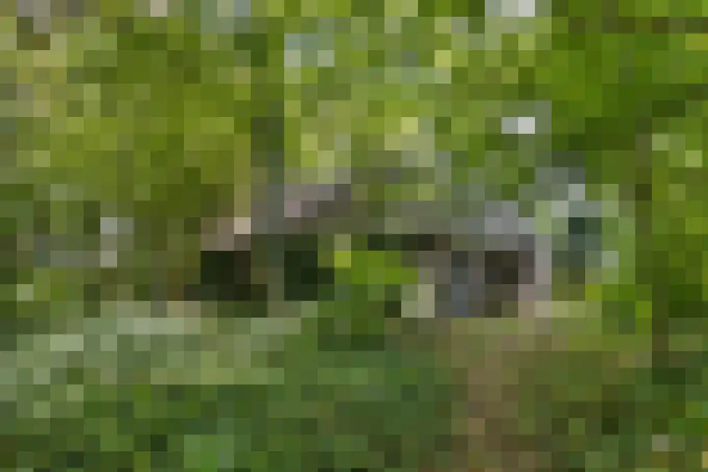 Noorderend 22 Suwâld thumbnail 51