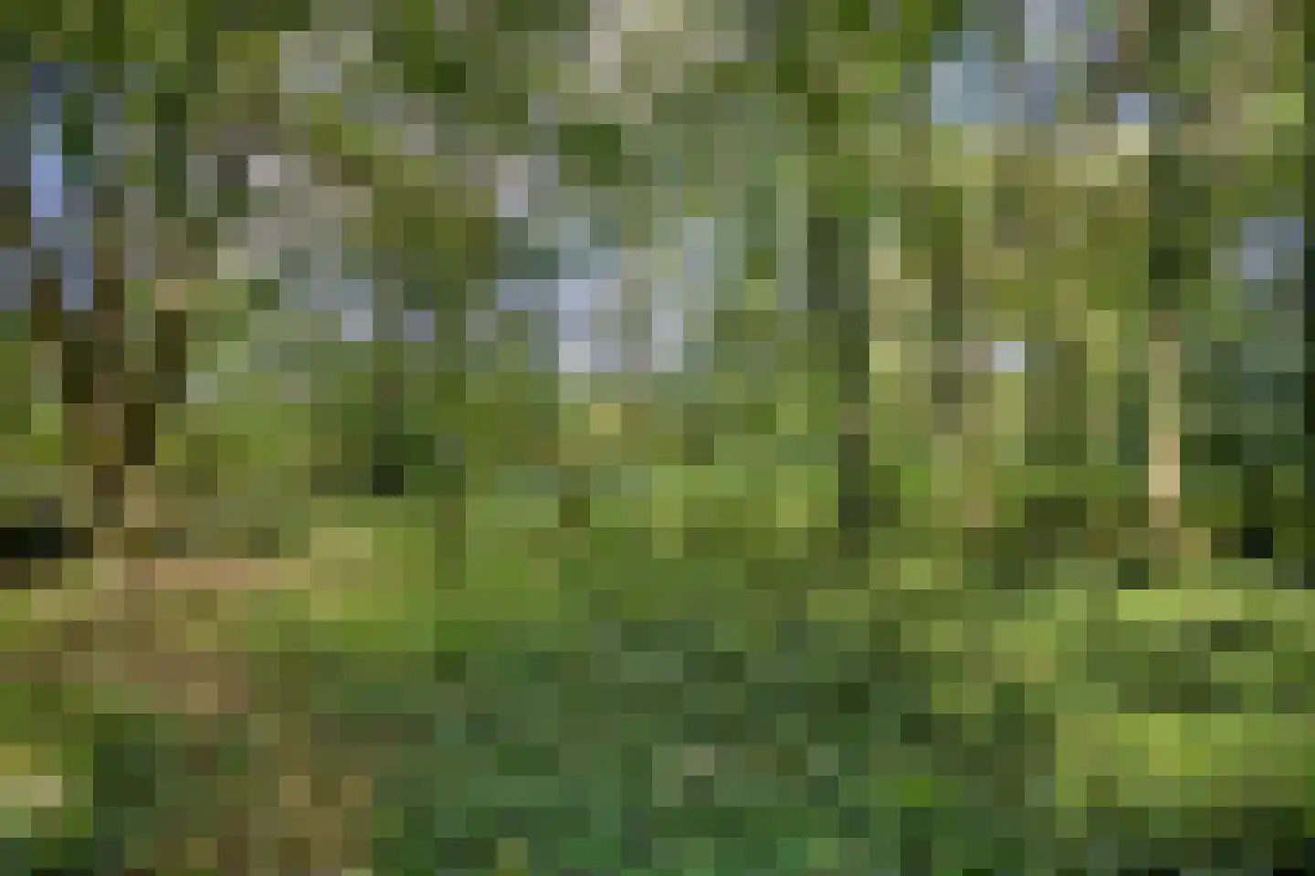 Noorderend 22 Suwâld thumbnail 52
