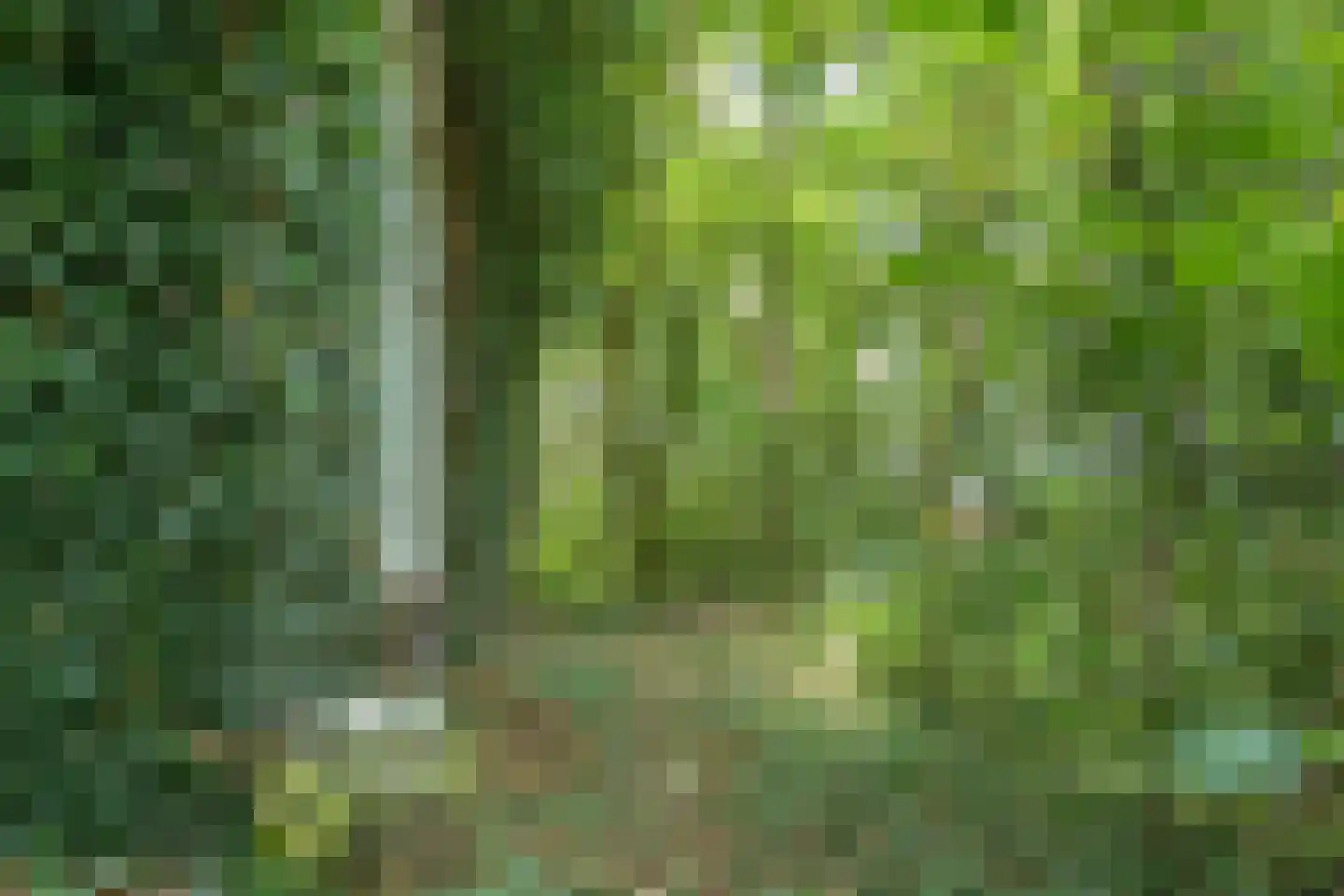 Noorderend 22 Suwâld thumbnail 53