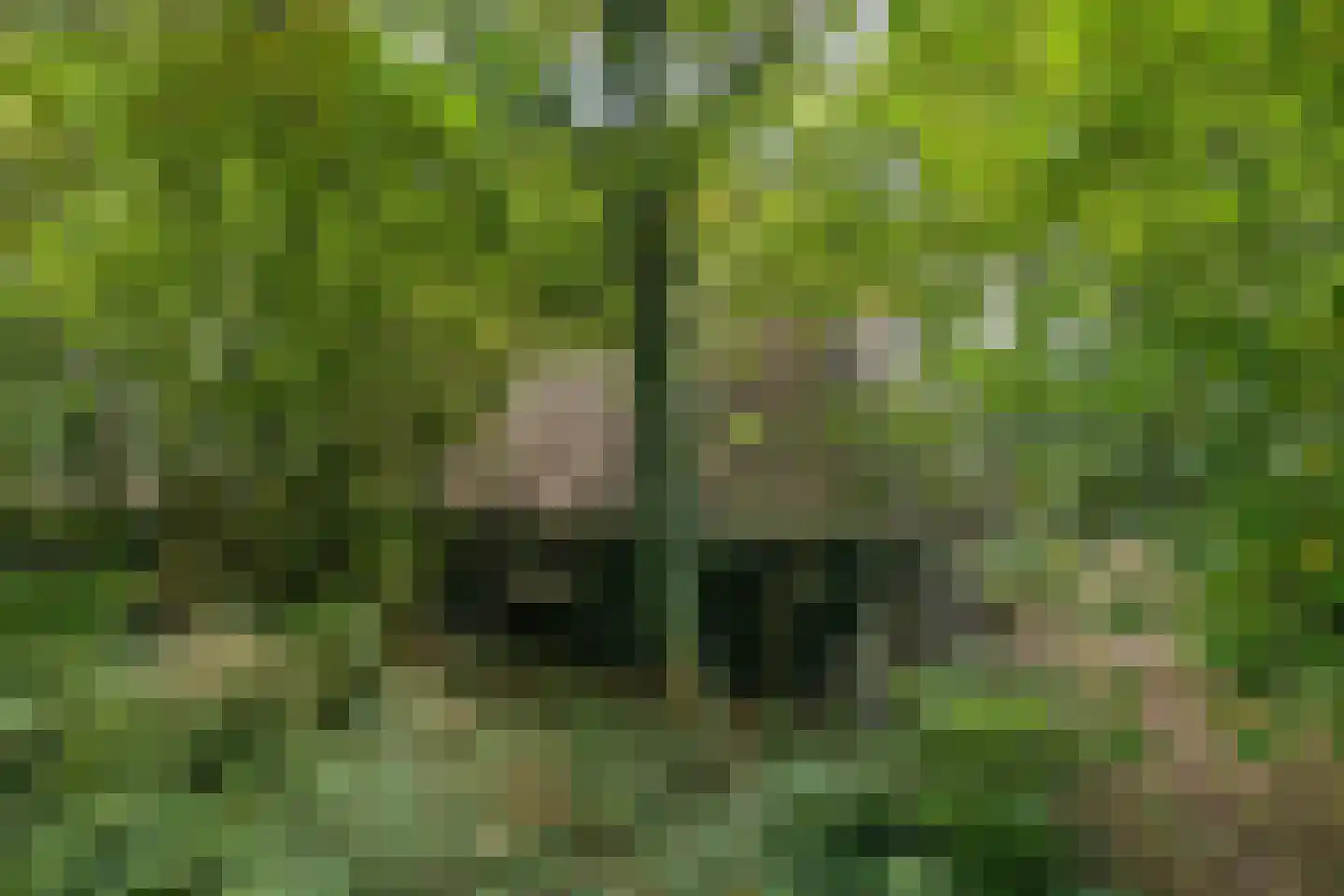 Noorderend 22 Suwâld thumbnail 54