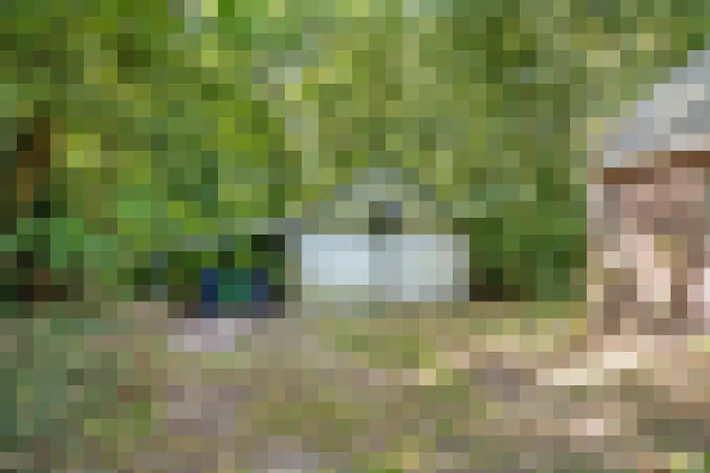 Noorderend 22 Suwâld thumbnail 55