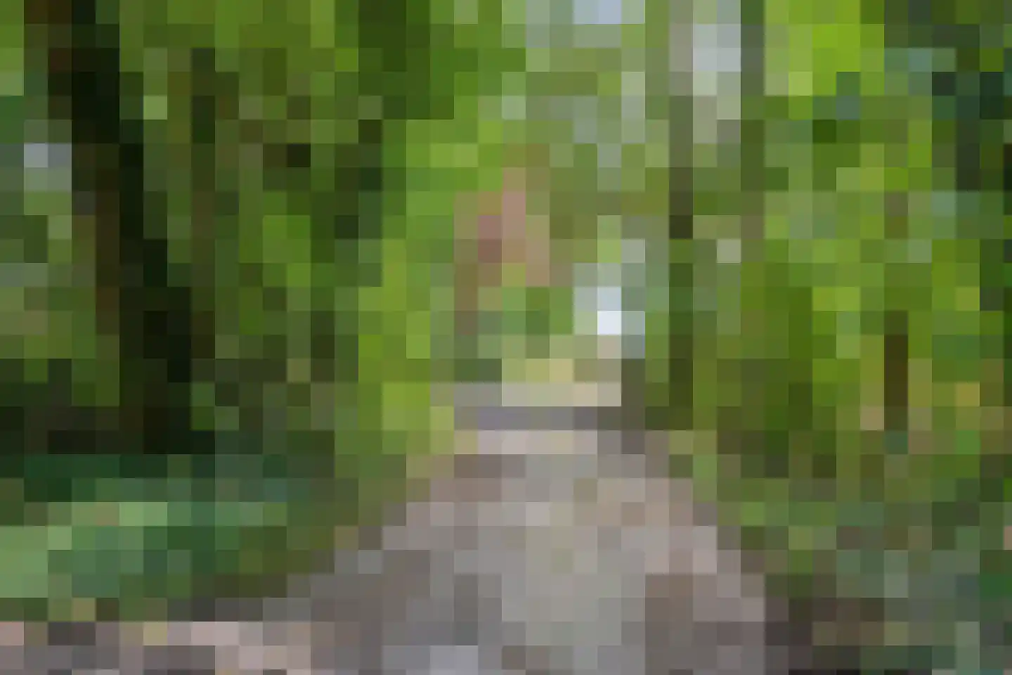 Noorderend 22 Suwâld thumbnail 56