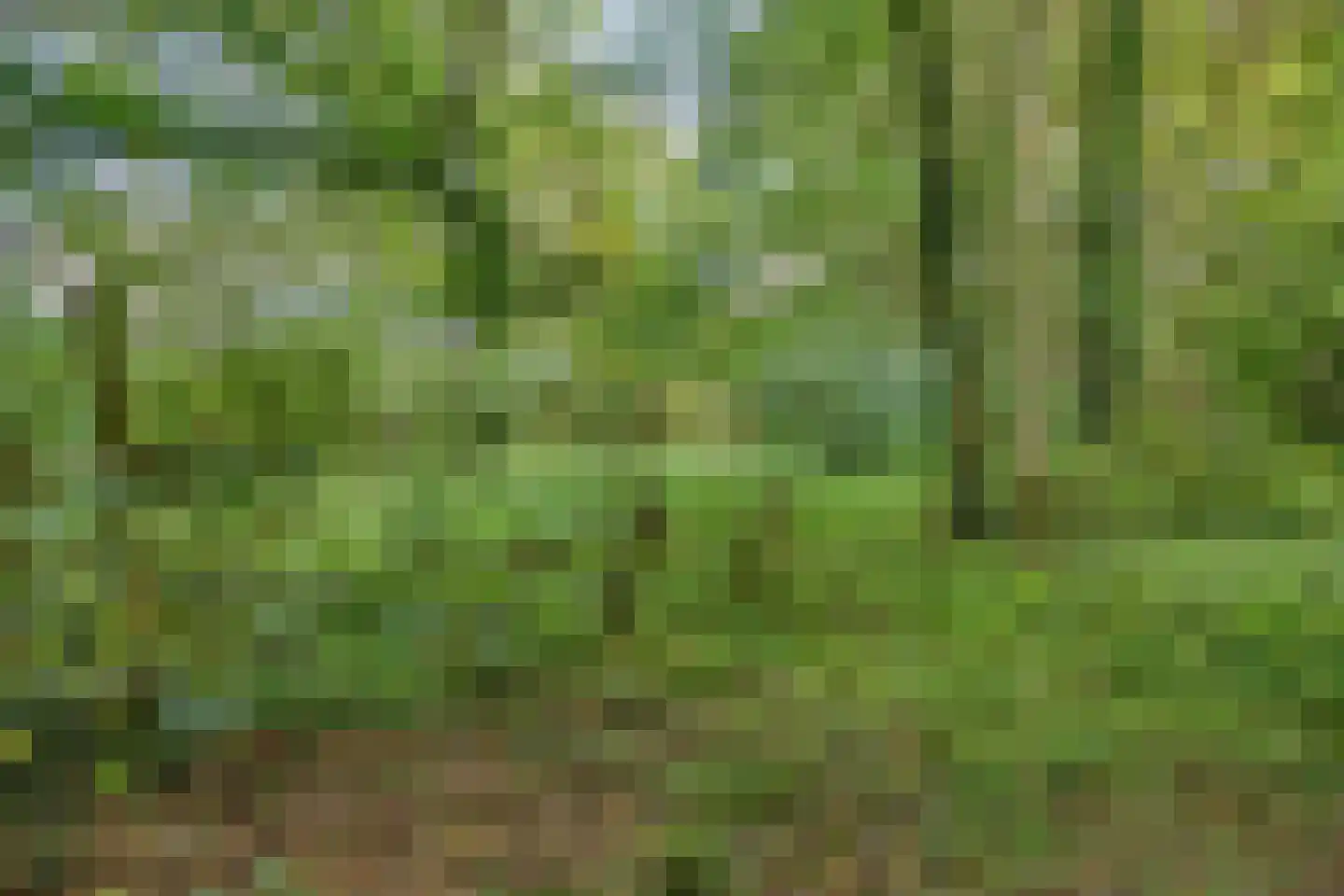 Noorderend 22 Suwâld thumbnail 57