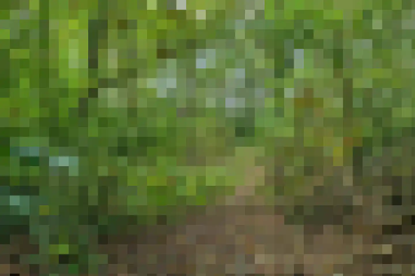 Noorderend 22 Suwâld thumbnail 58