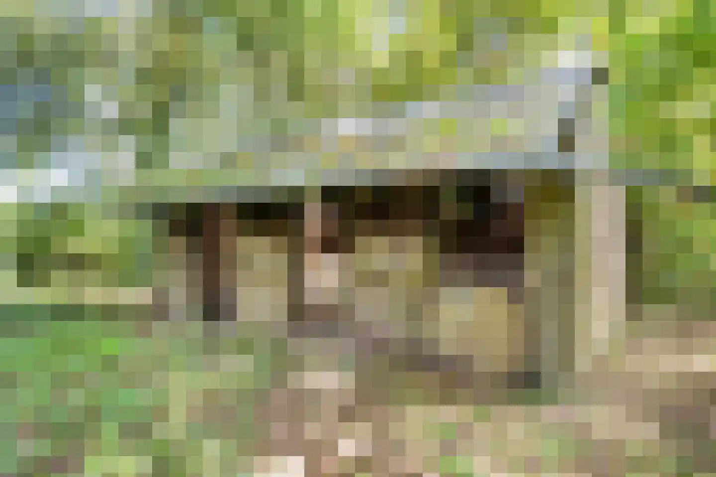 Noorderend 22 Suwâld thumbnail 59