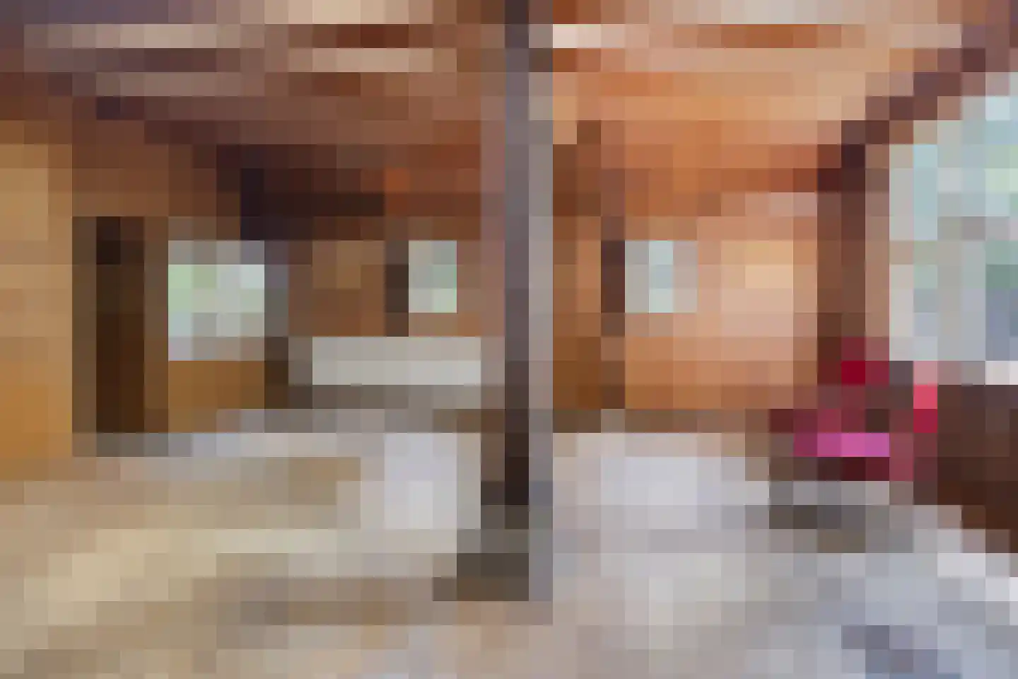Noorderend 22 Suwâld thumbnail 6