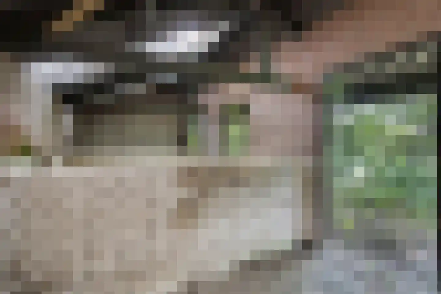 Noorderend 22 Suwâld thumbnail 61