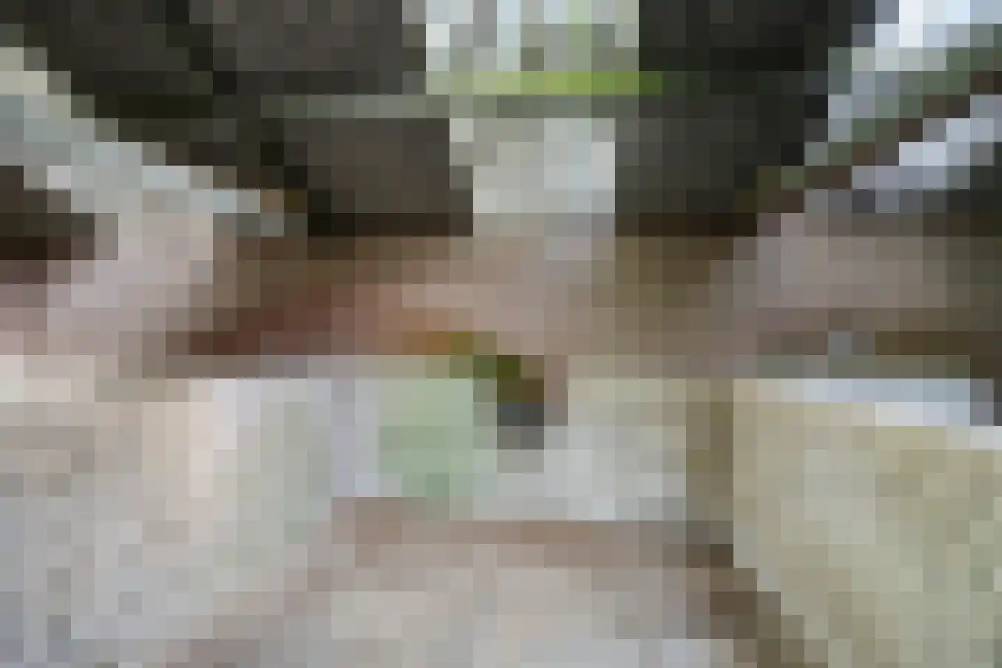 Noorderend 22 Suwâld thumbnail 62