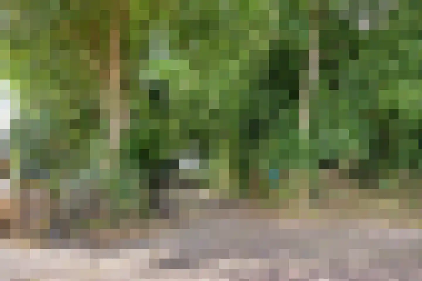 Noorderend 22 Suwâld thumbnail 63