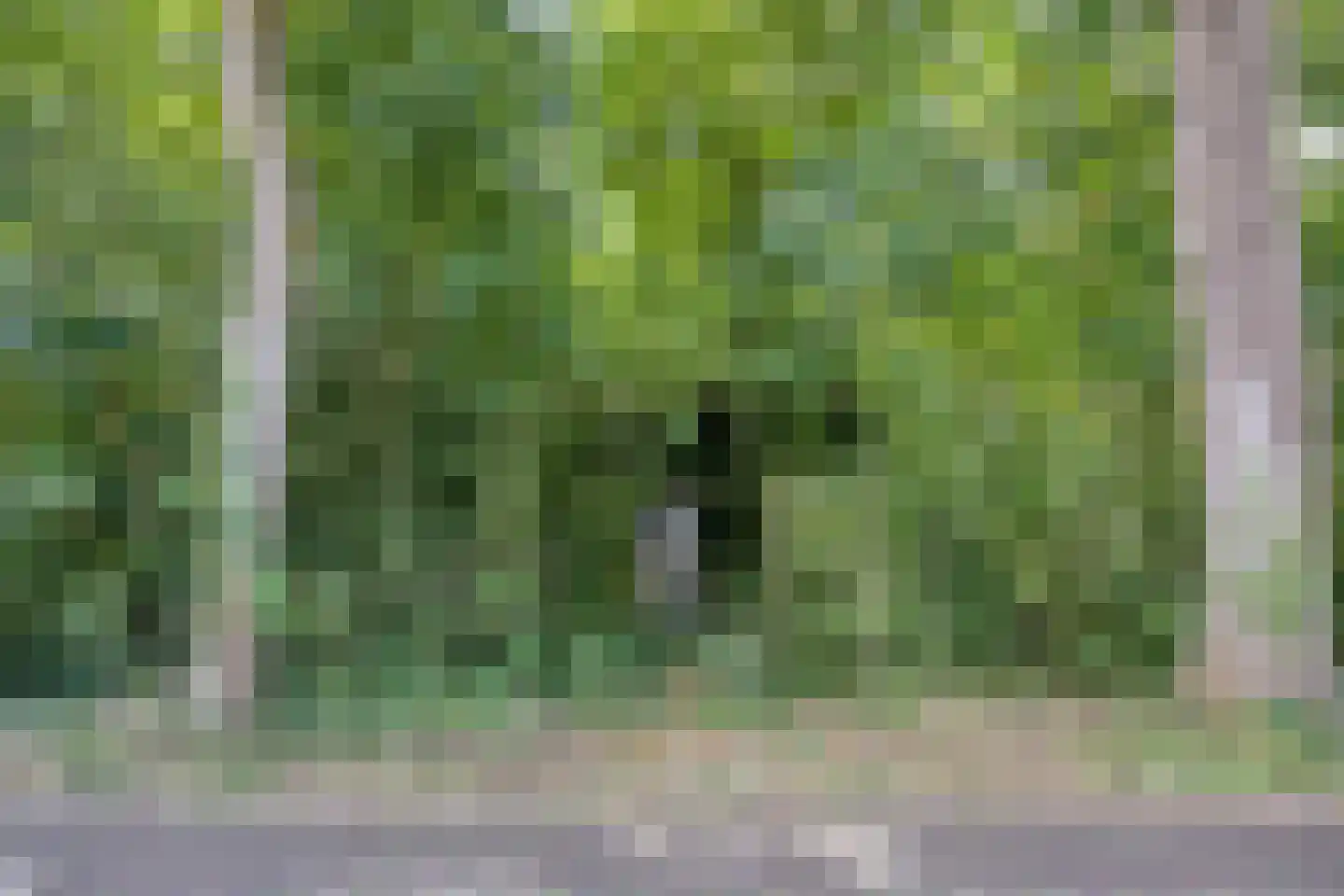 Noorderend 22 Suwâld thumbnail 64