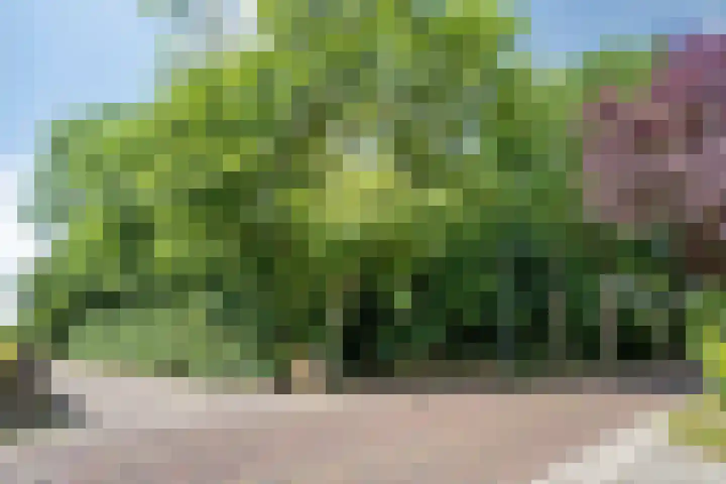 Noorderend 22 Suwâld thumbnail 65