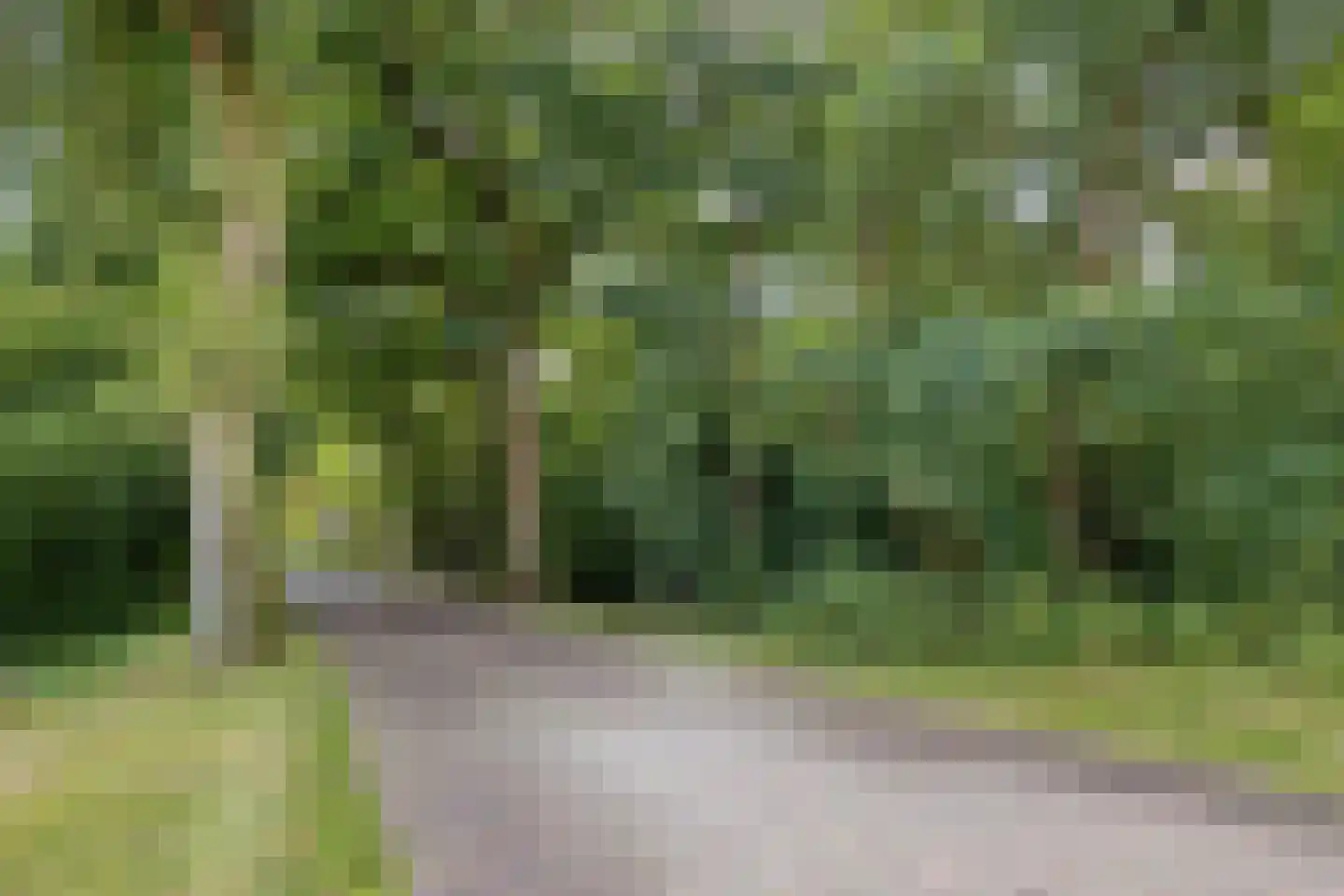 Noorderend 22 Suwâld thumbnail 66