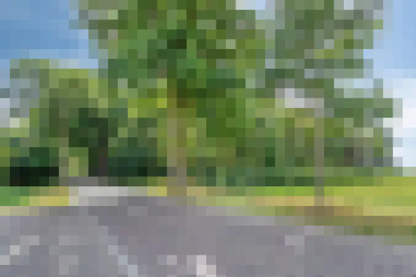 Noorderend 22 Suwâld thumbnail 67