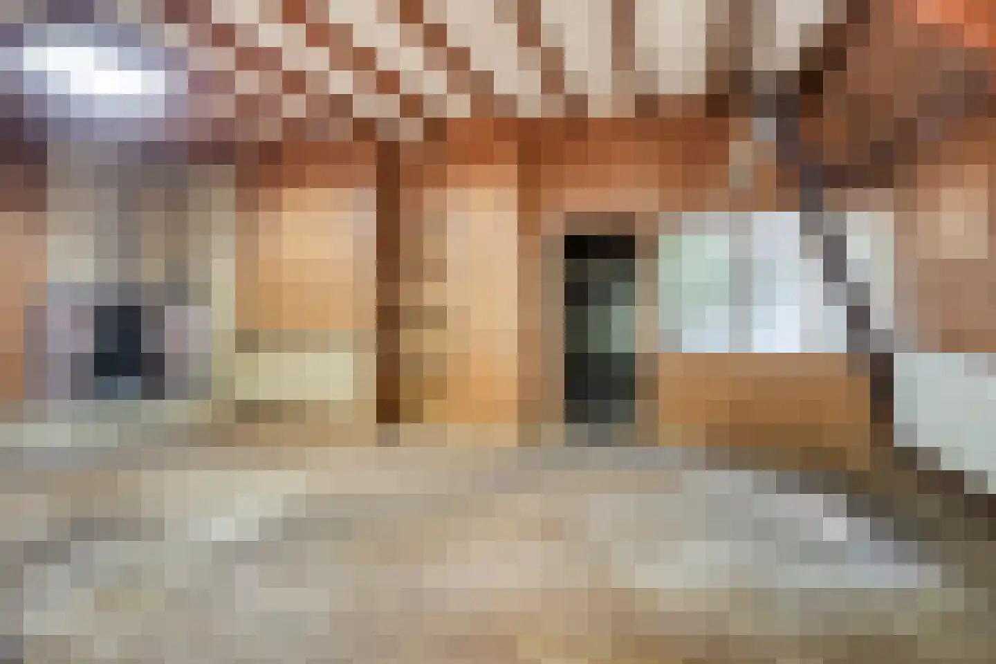 Noorderend 22 Suwâld thumbnail 7