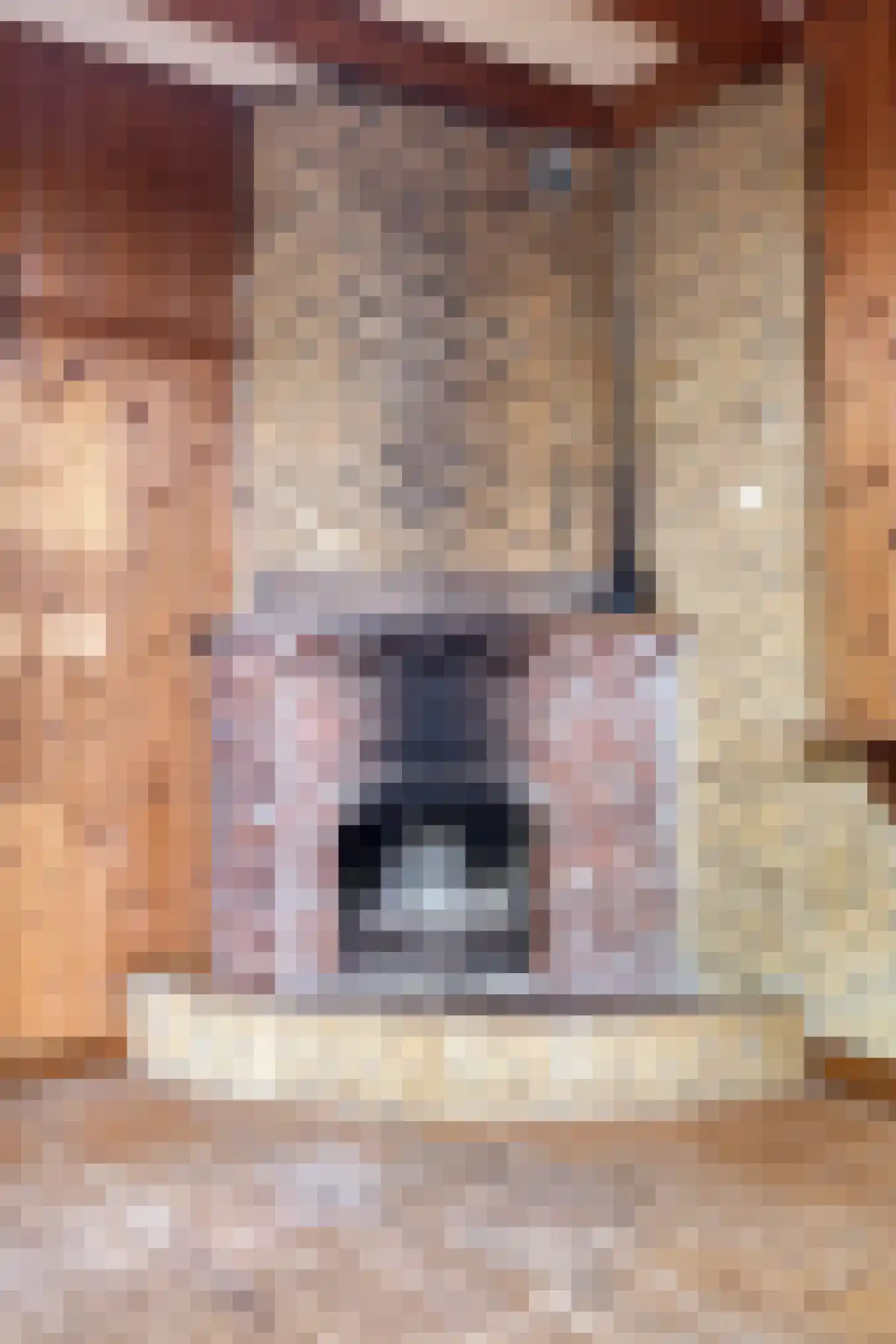 Noorderend 22 Suwâld thumbnail 8