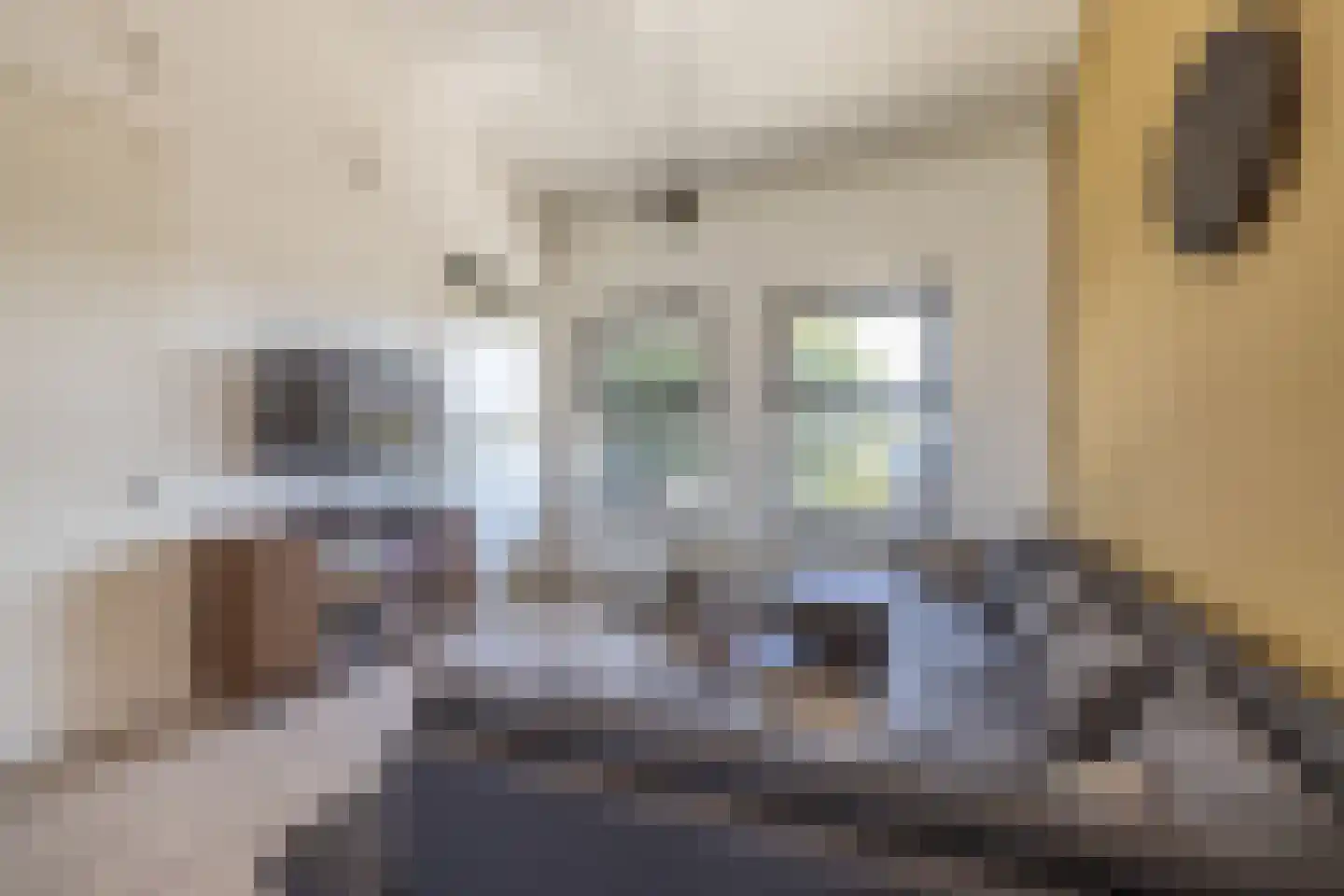 Noorderend 27 Hillegom thumbnail 12