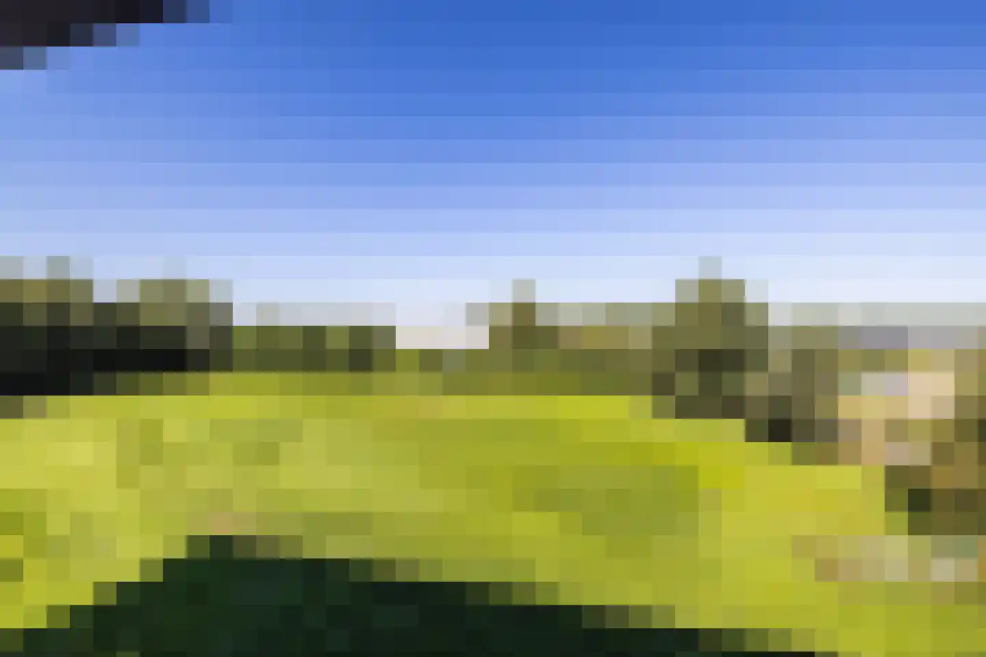 Noorderend 27 Hillegom thumbnail 19