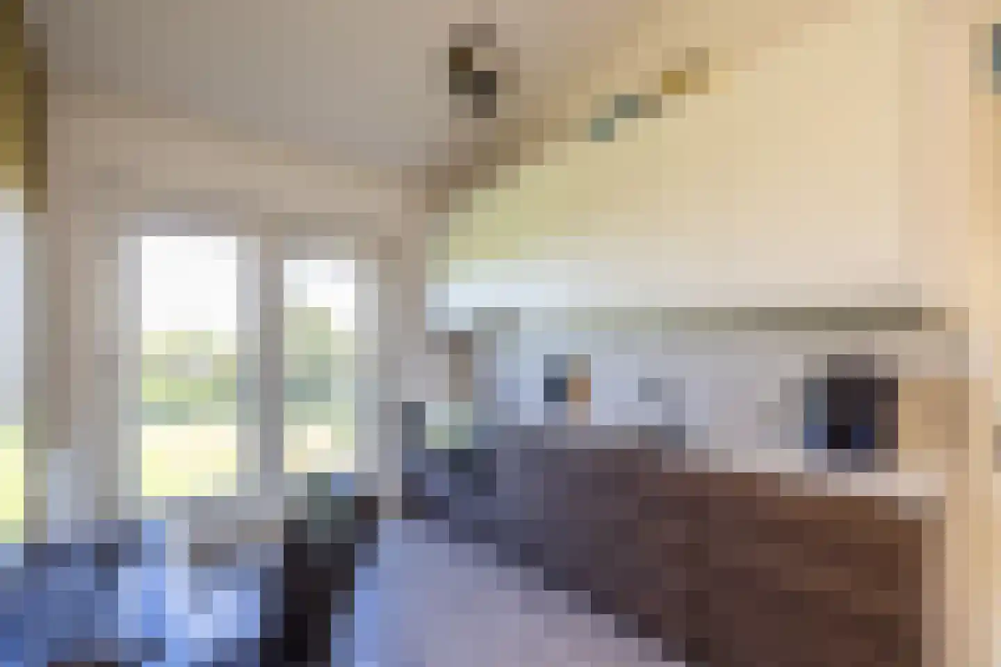Noorderend 27 Hillegom thumbnail 20