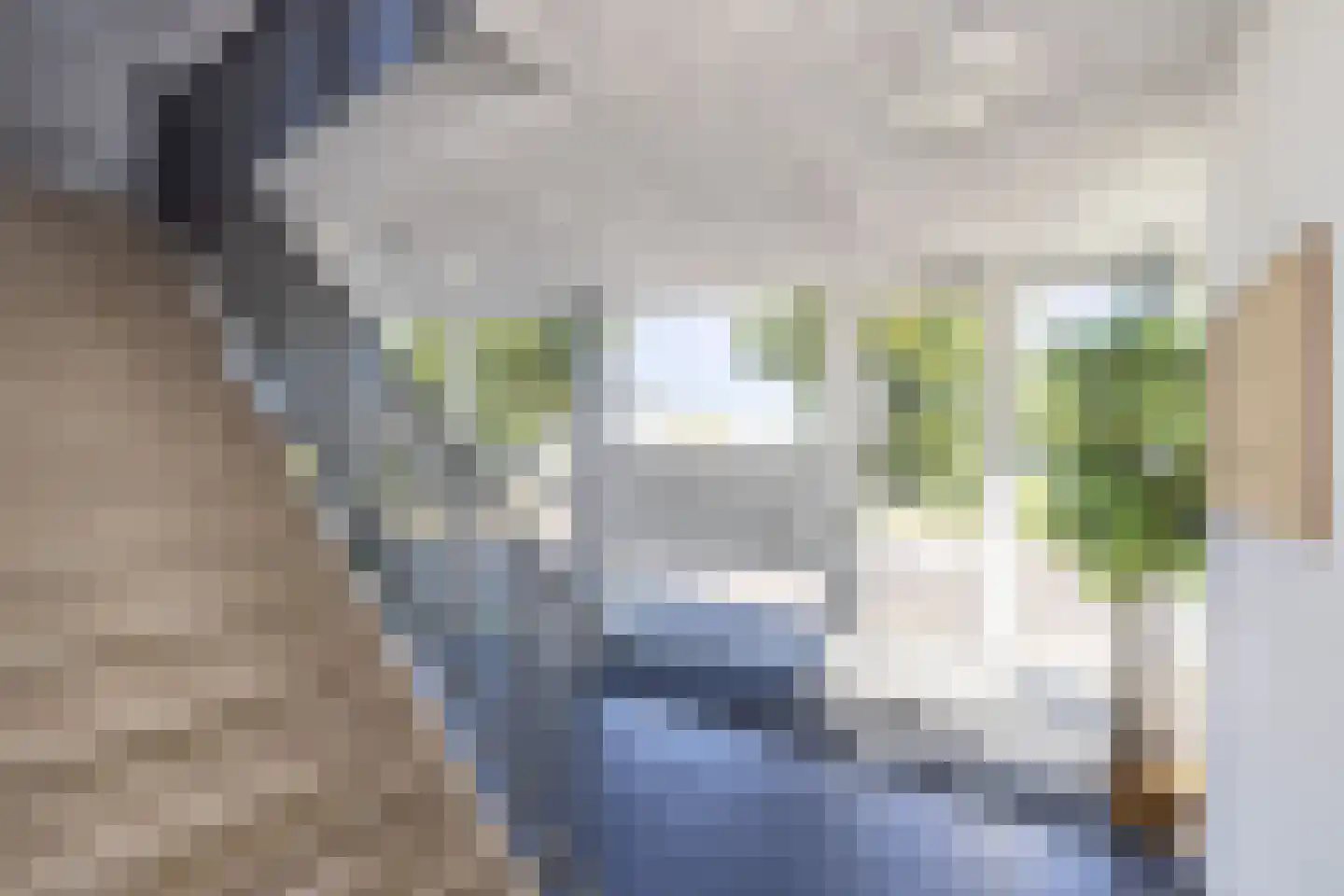 Noorderend 27 Hillegom thumbnail 29