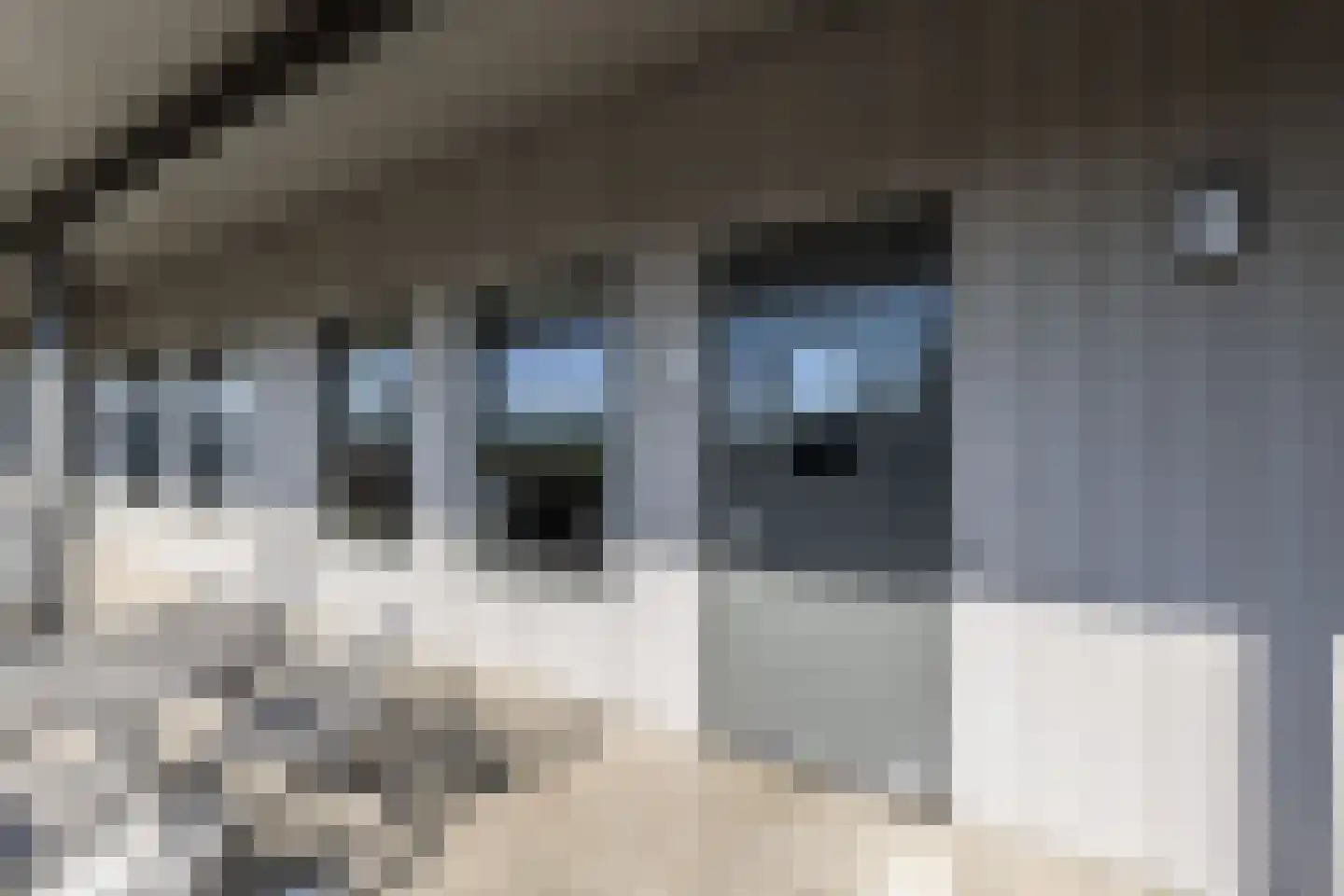 Noorderend 27 Hillegom thumbnail 6