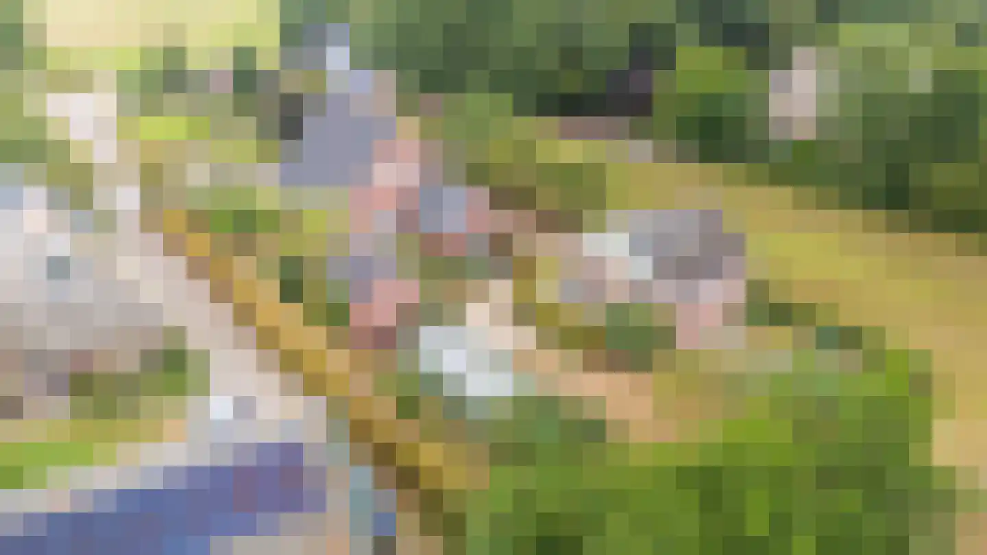 Noorderend 27 Suwâld thumbnail 12