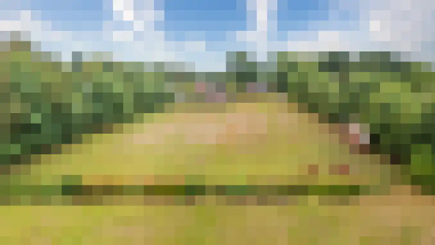 Noorderend 27 Suwâld thumbnail 15