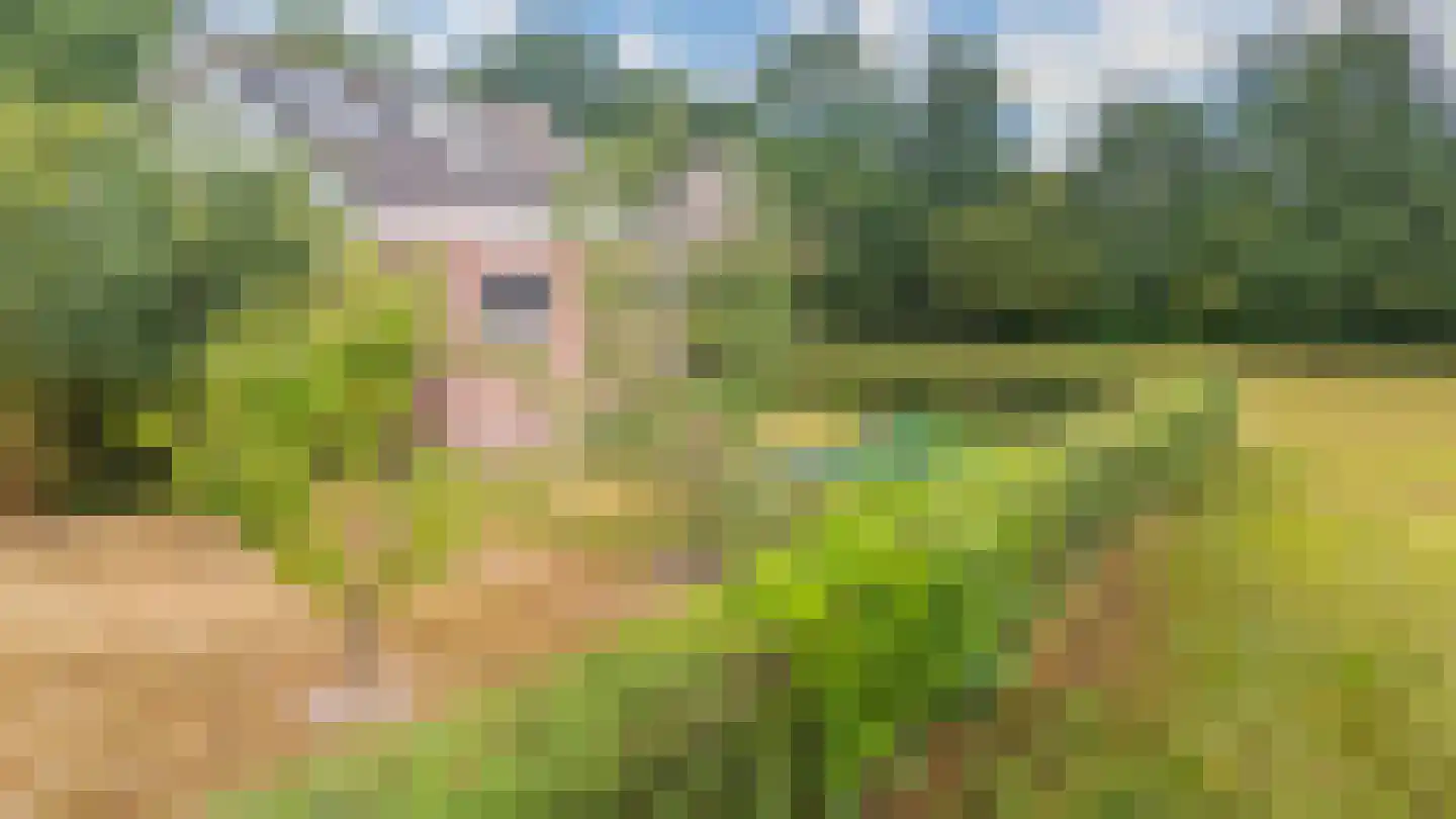 Noorderend 27 Suwâld thumbnail 17