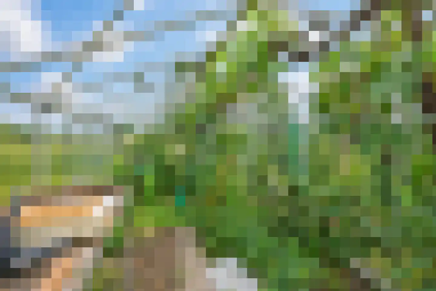Noorderend 27 Suwâld thumbnail 21