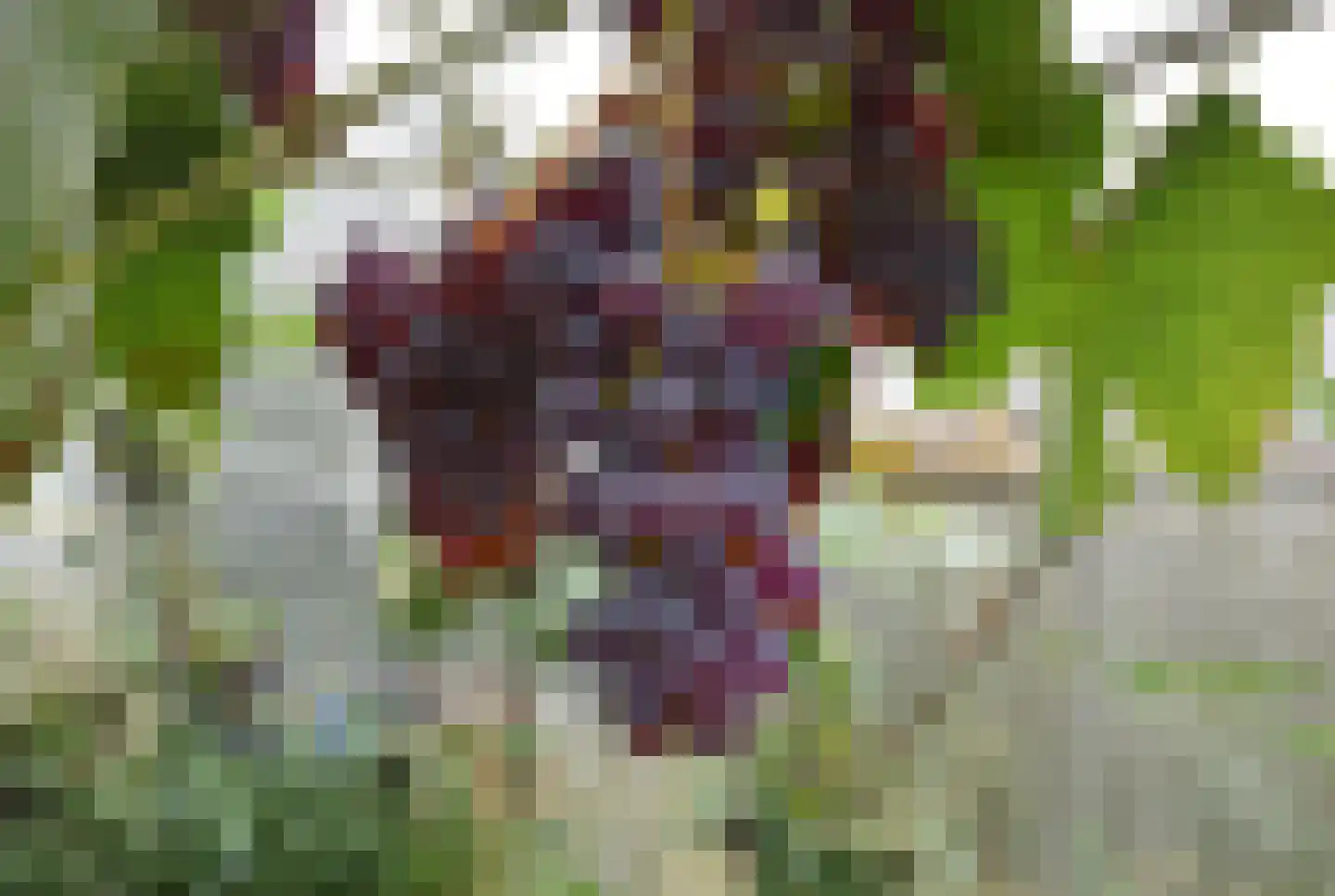 Noorderend 27 Suwâld thumbnail 22