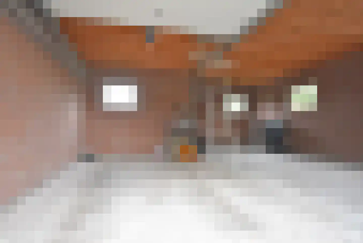 Noorderend 27 Suwâld thumbnail 26