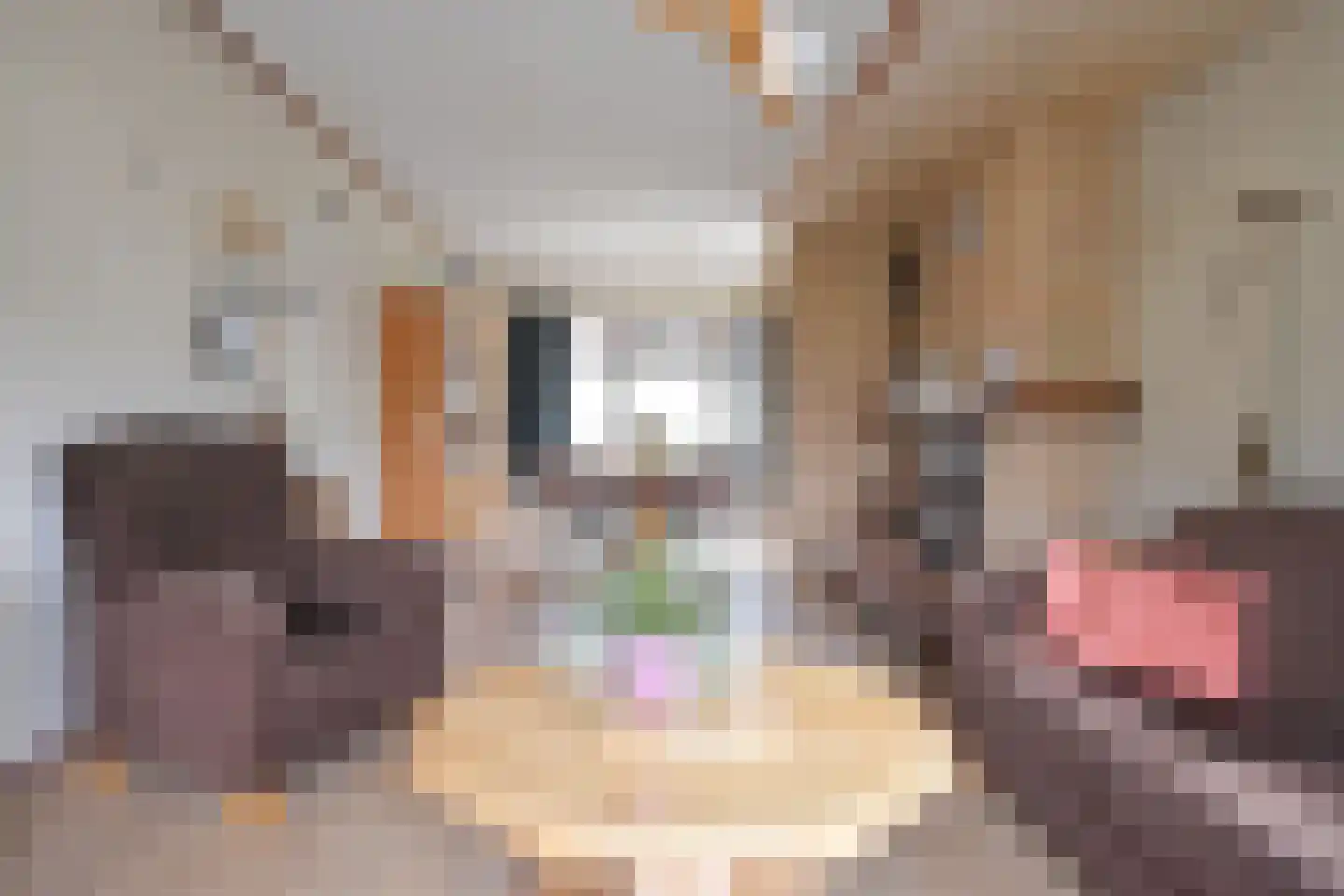Noorderend 27 Suwâld thumbnail 37