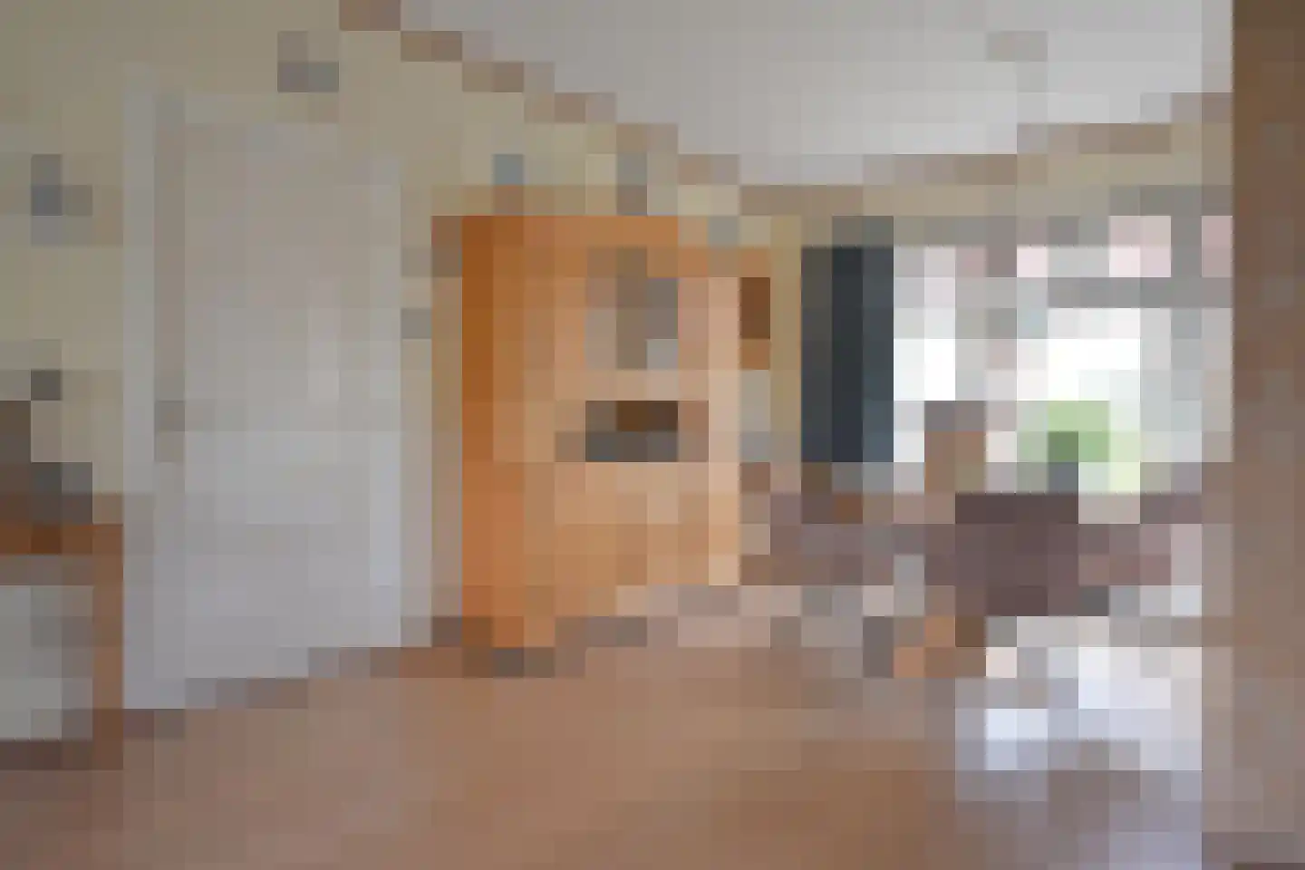 Noorderend 27 Suwâld thumbnail 38