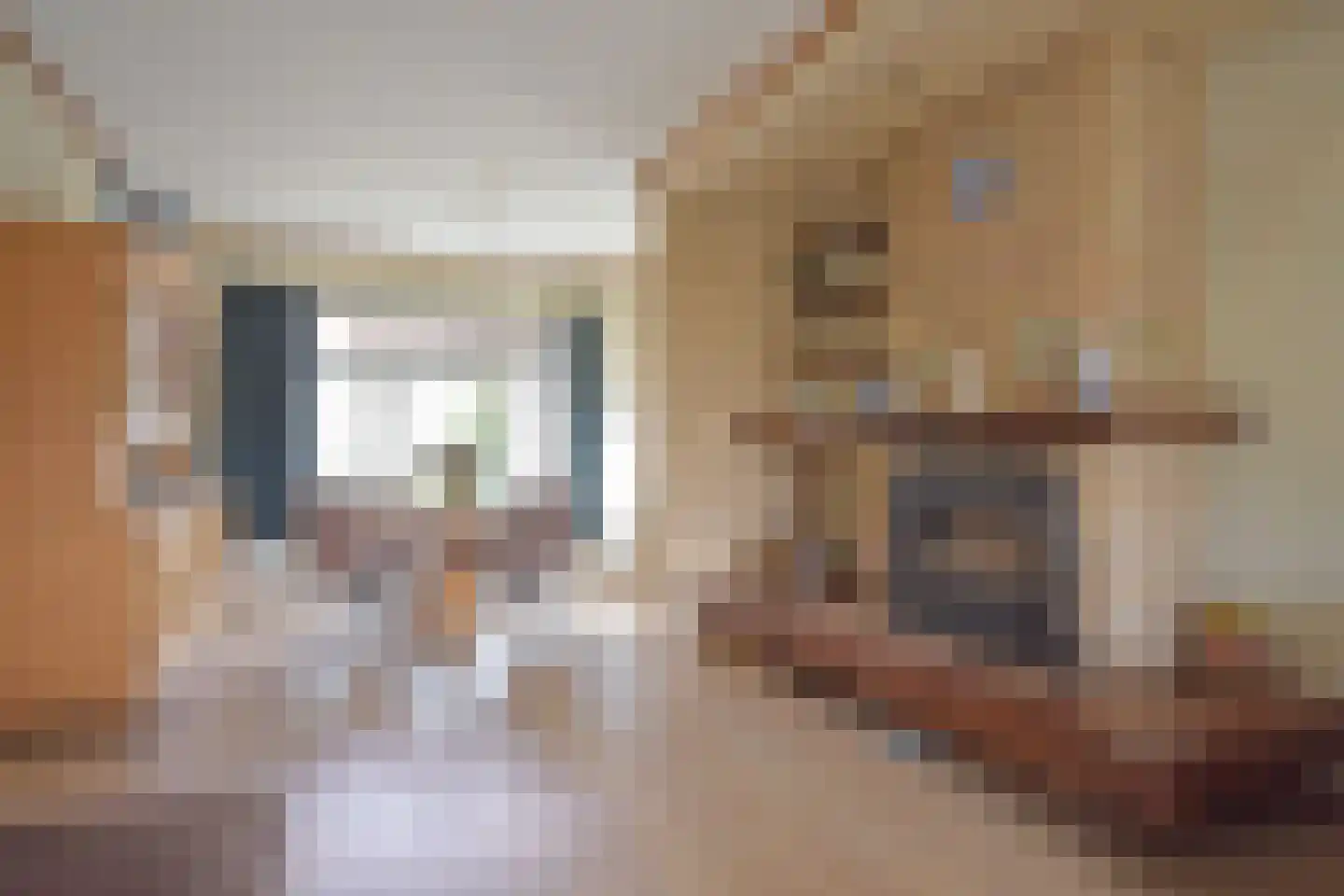 Noorderend 27 Suwâld thumbnail 39
