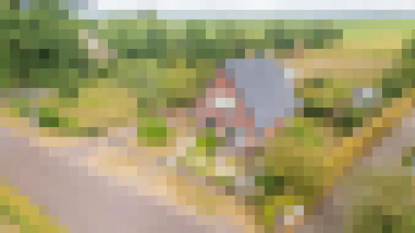 Noorderend 27 Suwâld thumbnail 4