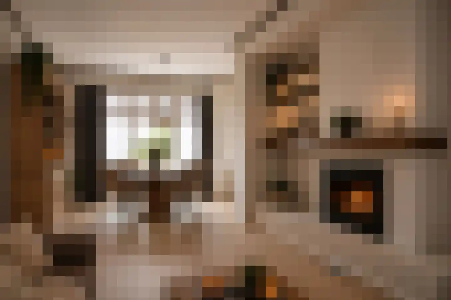 Noorderend 27 Suwâld thumbnail 40